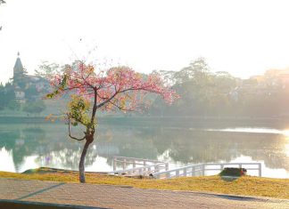 Bỏ túi 7 địa điểm du lịch ở Đà Lạt Hot nhất