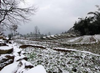 Cùng tìm hiểu du lịch Tây Bắc mùa nào đẹp nhất trong năm