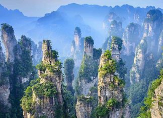 Chia sẻ kinh nghiệm du lịch Trương Gia Giới cho người sắp đi