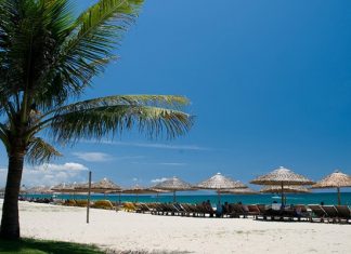 Tổng hợp các điểm tham quan du lịch hấp dẫn có tại Hội An