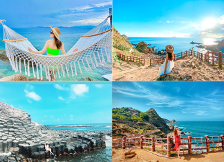 Du lịch Quy Nhơn – Ngắm nhìn vẻ đẹp đảo yến từ xa